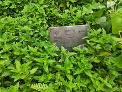 -广州神农草堂中医药博物馆