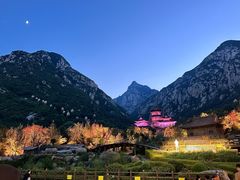 -禅宗少林·音乐大典