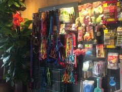 -精灵岛宠物生活馆(洪泽花园店)