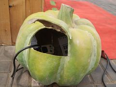 景点-观光南瓜园