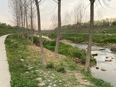 -洨河生态公园