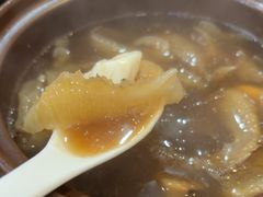 -大中鱼翅 Taitong Shark Fin