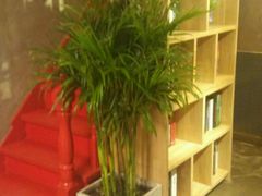 -HIGH FIVE哈福手工汉堡(桂林路店)