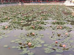 -宝墨园景区
