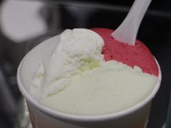 -Dip in Gelato(富民路店)