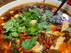 -双流老字号董蹄花(机场南四路店)