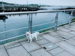 -苏州太湖国际会议中心