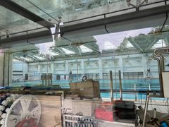 -同济大学四平路校区游泳馆