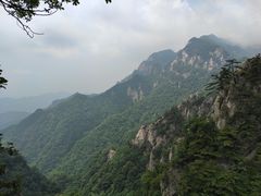 -王顺山国家森林公园