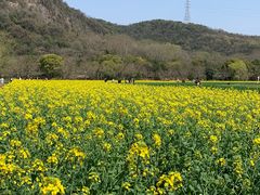 -八卦田遗址公园