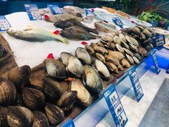 -宝轩渔府·老字号海鲜·正宗津菜(水上店)