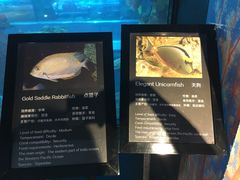 -乐从天佑城海洋馆