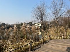 -新荣记(西溪湿地店)