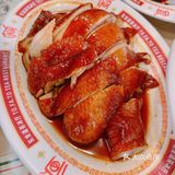 茶餐厅还得是东发道[礼花]