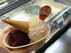 -极拉图·现制冰淇淋(梅溪湖新天地步步高店)