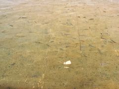 -溧阳天目湖天沐温泉