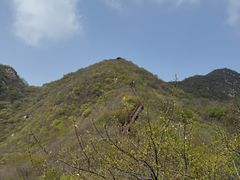 -大岭沟猕猴桃谷风景区