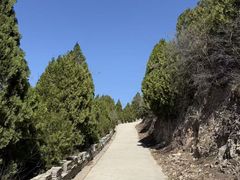 -府君山公园