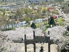 -苏州上方山国家森林公园