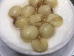 -义顺牛奶公司(新马路老店)