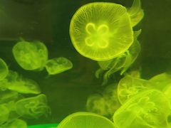 -福州罗源湾海洋世界旅游区