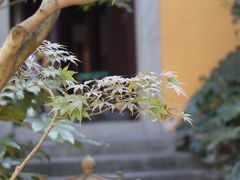 -慧因高丽寺