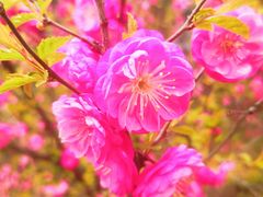 -鹫峰国家森林公园