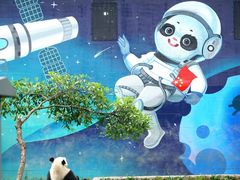 -中国大熊猫保护研究中心雅安碧峰峡基地