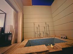 -春晖园度假酒店温泉