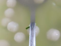 -考记泥焗鸡农庄·海鲜(北洛秘境店)