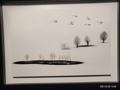 -罗红摄影艺术馆