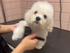-FAELING PETS美天灵宠物(富力广场店)