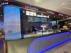 -TD66高山铁皮石斛养生茶饮
