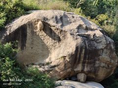 -云岫谷游猎自然风景区