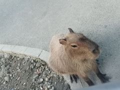 -成都欢乐谷