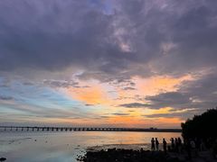 -宝安西湾红树林湿地公园