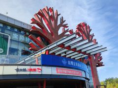 -山姆会员商店(亦庄创意生活广场店)