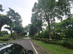 -海口火山口国家地质公园
