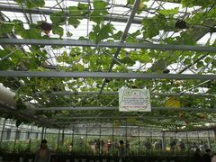 -兰陵国家农业公园