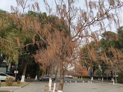 -吉林大学(前卫南区)