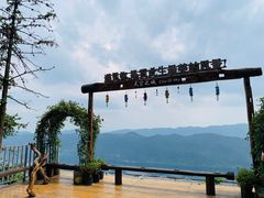 -仙岛湖旅游风景区