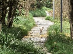 -钱江新城