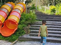 -杭州少年儿童公园