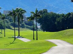 -罗浮山嘉宝田森林温泉度假酒店