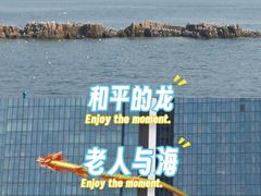 -青岛海滨风景区