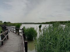 -西青郊野公园