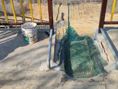 -原山国家森林公园