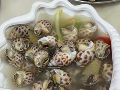 -冯姐生蚝(长隆横琴店)