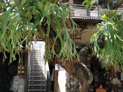 -乌布德传统市场