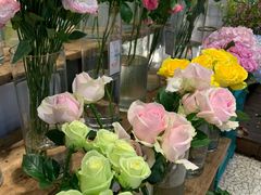 -BOBLOOM花店(宝龙旭辉广场店)